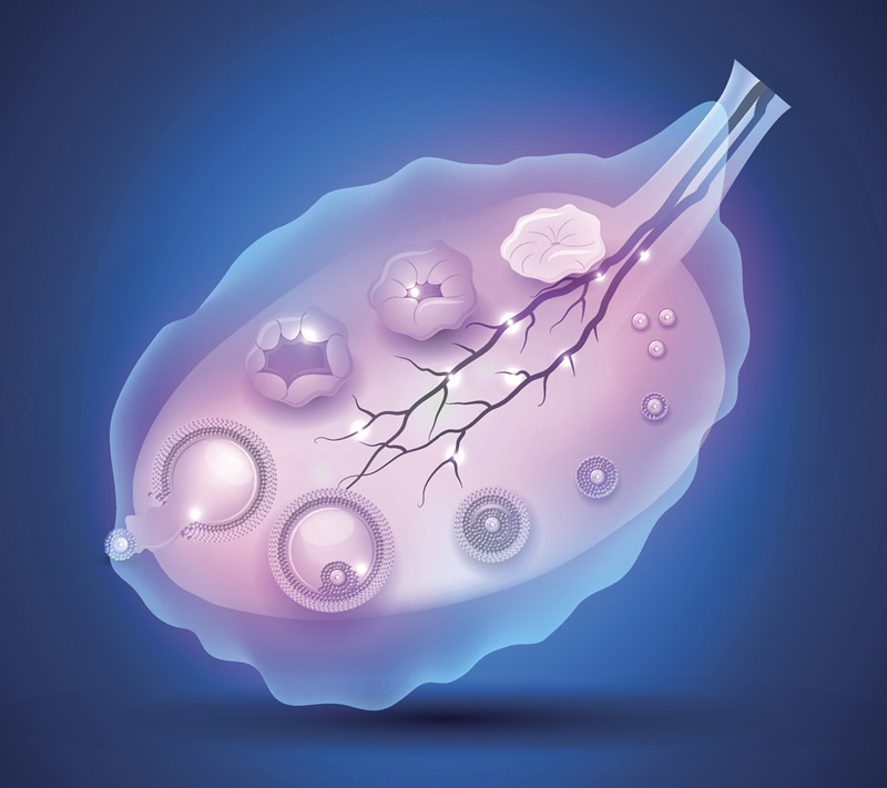 海外试管助孕机构选择全解析,这份指南值得收藏!青海试管助孕成功率与费用对比!